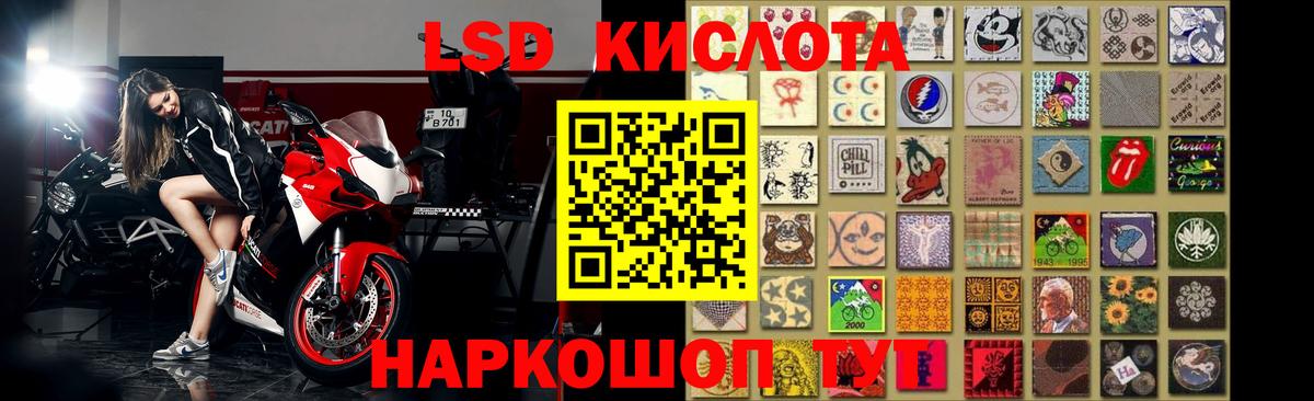 Псилоцибиновые грибы Кызыл