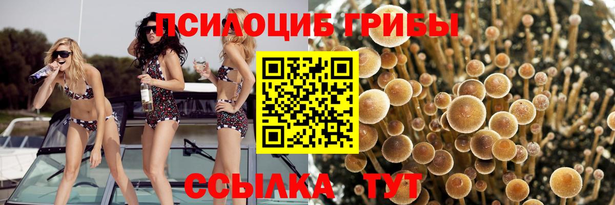Псилоцибиновые грибы Magic Shrooms  Вход с VPN  Кызыл  Псилоцибиновые грибы ЛСД 
